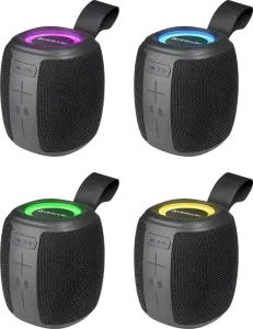 Defender - Przenośne głośniki Enjoy S550